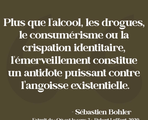 Citation - Sébastien Bohler