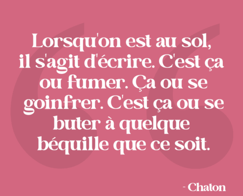 Citation - Chaton