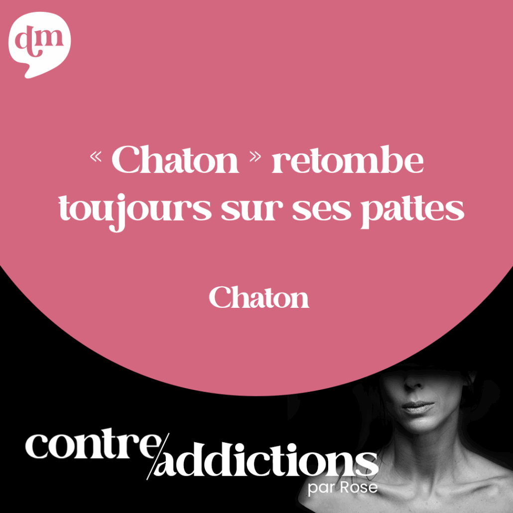 S2E29 - Chaton