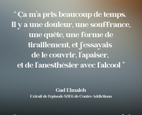 Citation - Gad Elmaleh